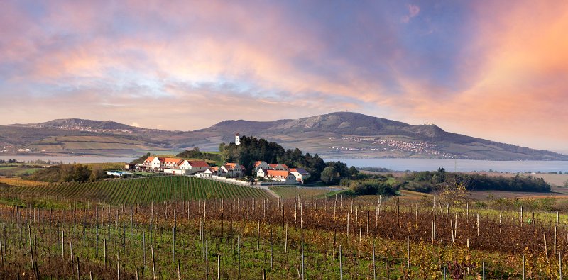 Vinařství U Kapličky - penzion