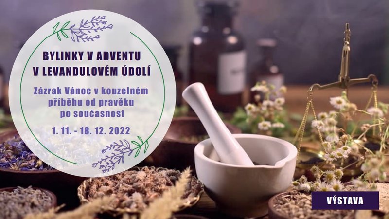 Levandulové údolí