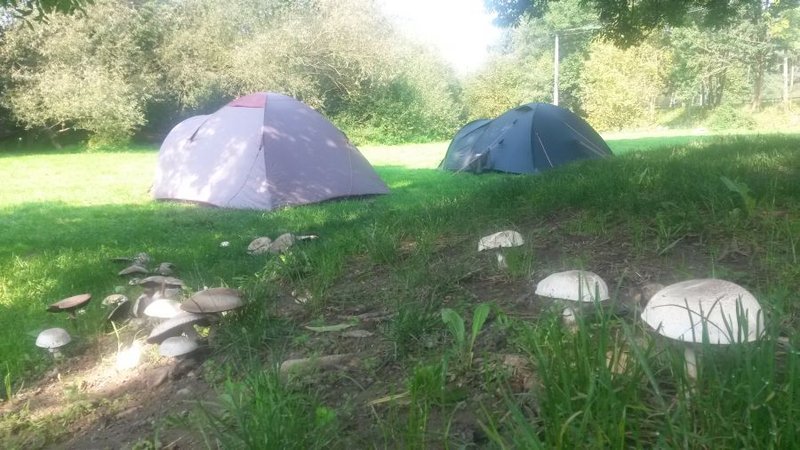 Stodola Nové Mlýny - ubytování