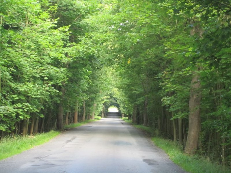 Stodola Nové Mlýny - tábořiště