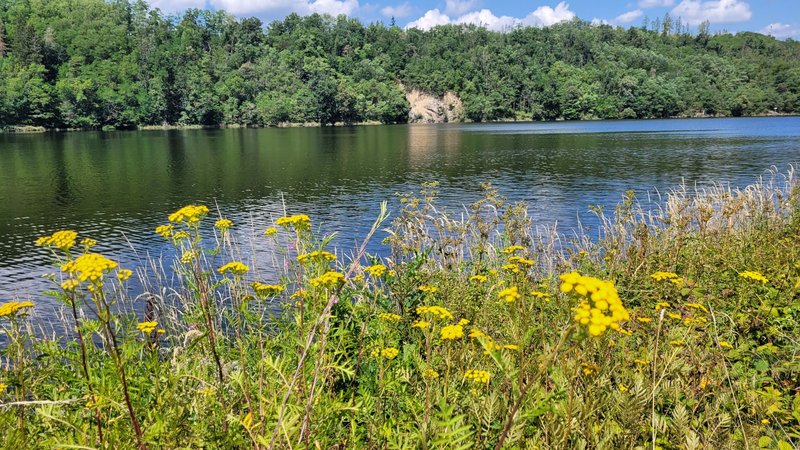 Kamýcké Hájemství