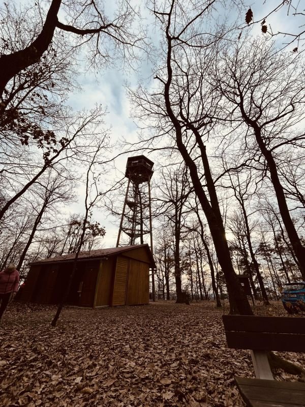 Rozhledna Milíř Vysoká nad Labem