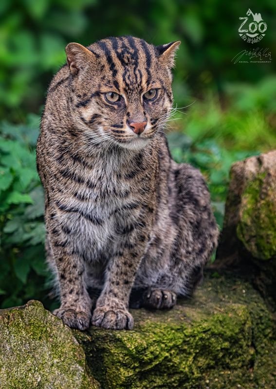 Zoopark Na Hrádečku