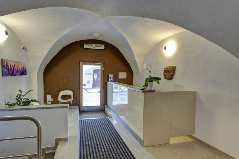 Suites & Apartments U Tří Hrušek