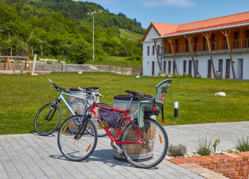 Hotel Ryzlink - restaurace