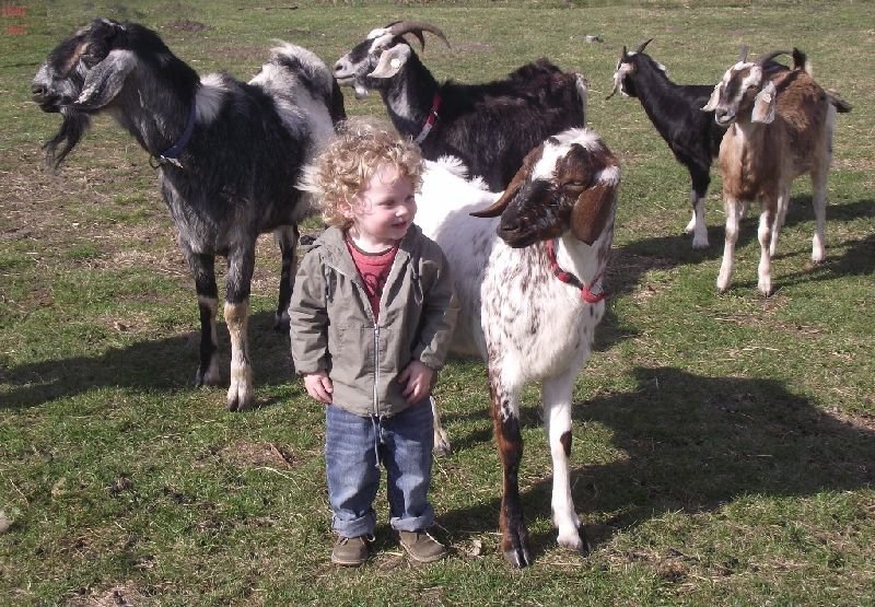 Jáňův dvůr - penzion