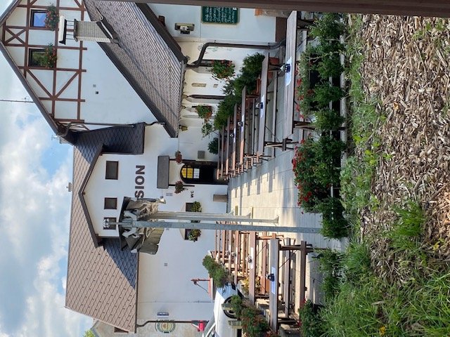 Hostinec U pejska a kočičky